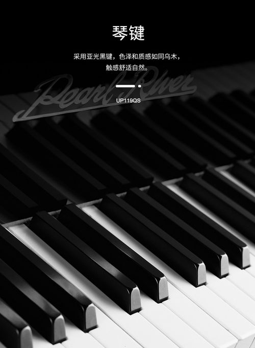泰安珠江鋼琴 愷撒堡鋼琴 里特米勒鋼琴 國產(chǎn)鋼琴