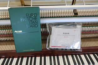 德國(guó)阿斯特鋼琴at123i技術(shù)評(píng)測(cè)