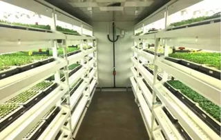 生物科技助力鄉村振興 植物工廠簽約落戶撈刀河畔田園綜合體